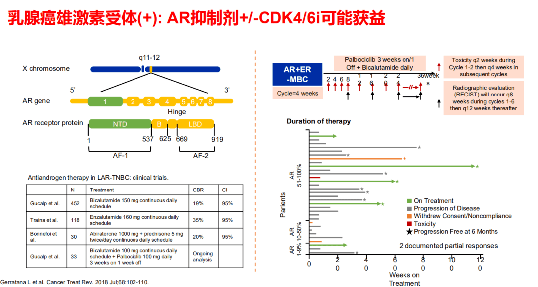 澳彩精準快全篇資料600圖庫與適用性方案解析——MT61.18.78探索，高效計劃設(shè)計實施_鉛版14.90.29