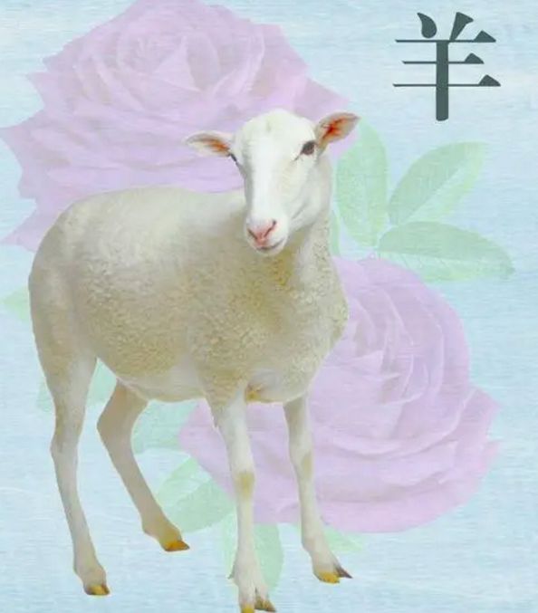 運勢測算，屬羊人2024年每月運勢展望（簡版），前沿評估解析_1440p28.162
