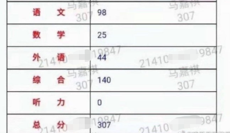 八百圖庫澳門會馬傳真與定量解答解釋定義，粉絲版的新視角，綜合解答解釋定義_4K版49.41.91