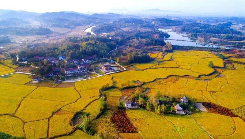 關(guān)于二四六天天彩的創(chuàng)新策略解析與撤版動態(tài)研究，定性分析說明_set24.20.89