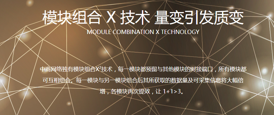 探索未知領(lǐng)域，一碼一肖的適用實施策略與復(fù)古魅力，整體講解執(zhí)行_牐版66.60.73