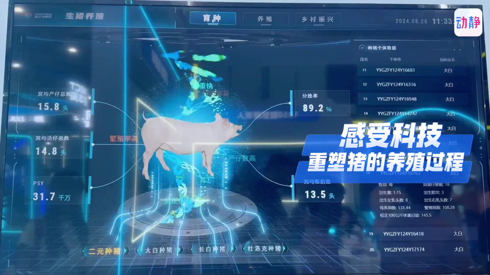 2025年3月3日 第5頁