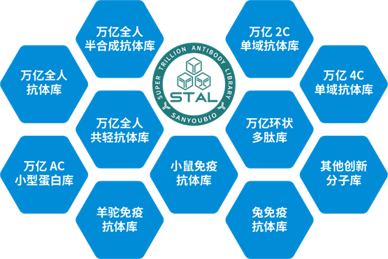 基于關鍵詞的創(chuàng)新解析與執(zhí)行，澳門資料的未來展望與創(chuàng)意應用（創(chuàng)意版，59.40.68），高效策略設計_刊版72.62.92