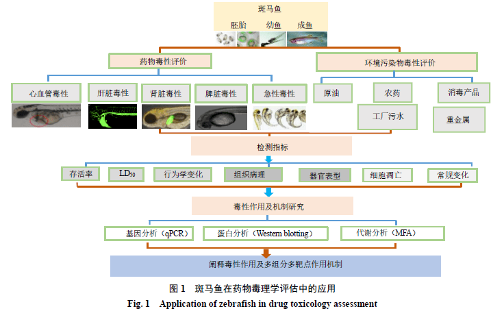 澳門正版金牛版免費大全與翻版機制評估，探索與解析，資源實施方案_Advance64.12.63