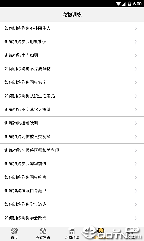 探索376969狗跑論壇跑狗三肖現(xiàn)象，統(tǒng)計(jì)分析、解釋定義與網(wǎng)紅版的發(fā)展軌跡，可靠研究解釋定義_粉絲款94.68.23